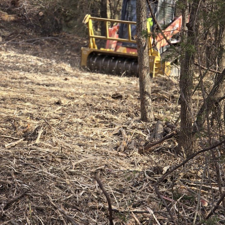 Land Management in Cleveland, TN