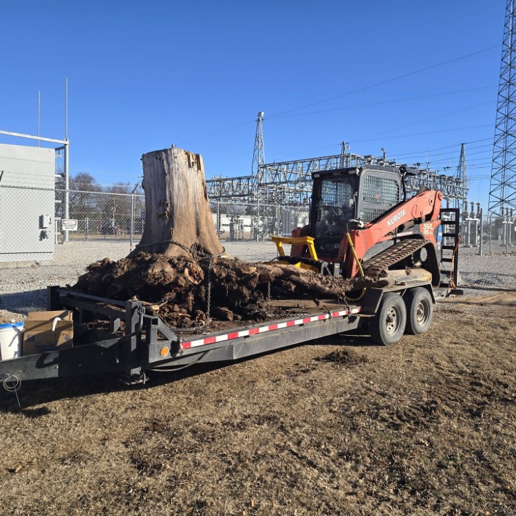Land Management in Cleveland, TN